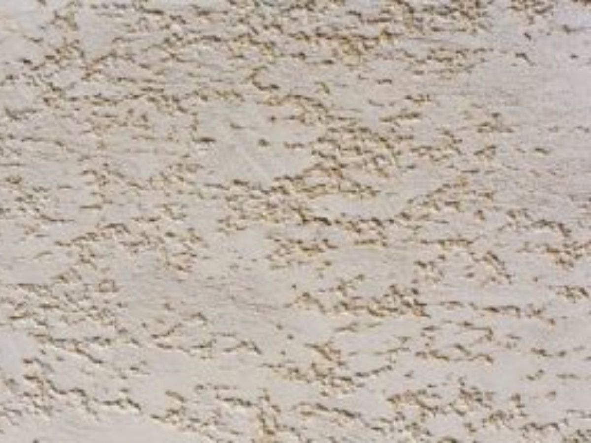 Enduit façade beige clair à finition grattée, surface creusée de petites cavités et stries horizontales irrégulières.